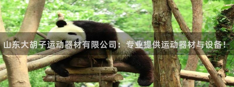 zoty中欧体育官网下载注册:山东大胡子运动器材有限公司:专